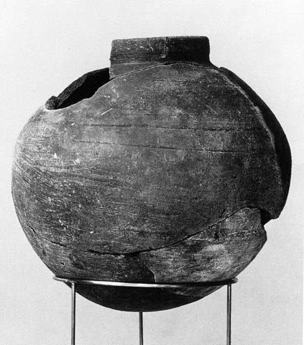 &Auml;MUL 1460