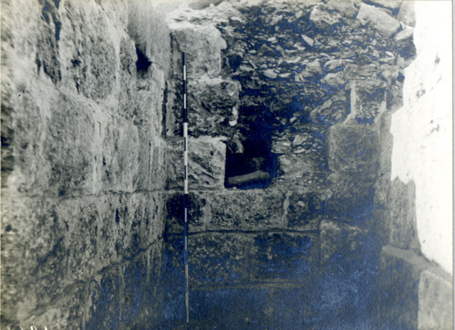 N 1921